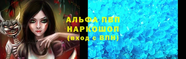 индика Михайлов