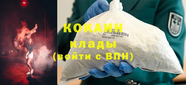индика Михайлов