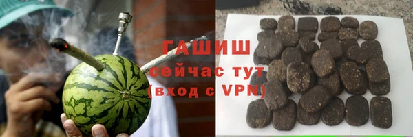 индика Михайлов