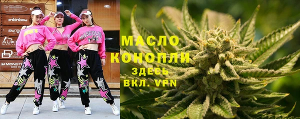 индика Михайлов