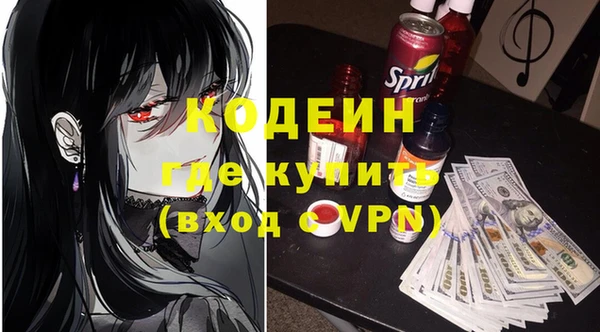 индика Михайлов