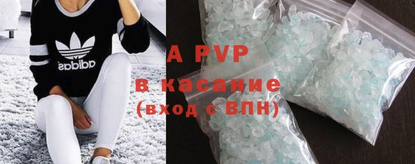 индика Михайлов