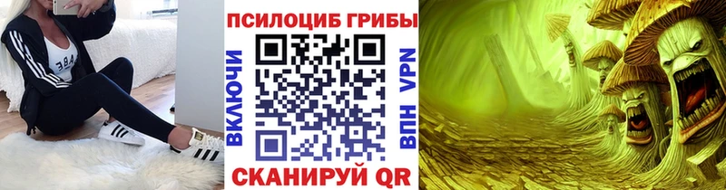 Псилоцибиновые грибы мицелий  Кочубеевское 
