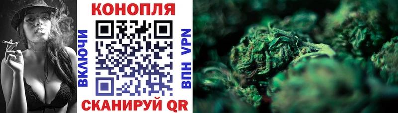 Конопля тримм  как найти наркотики  Кочубеевское 